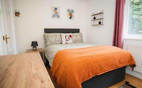 Exclusive Contractor House
